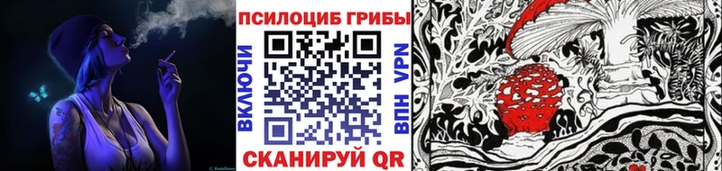 площадка какой сайт  Слюдянка  Псилоцибиновые грибы Psilocybe 